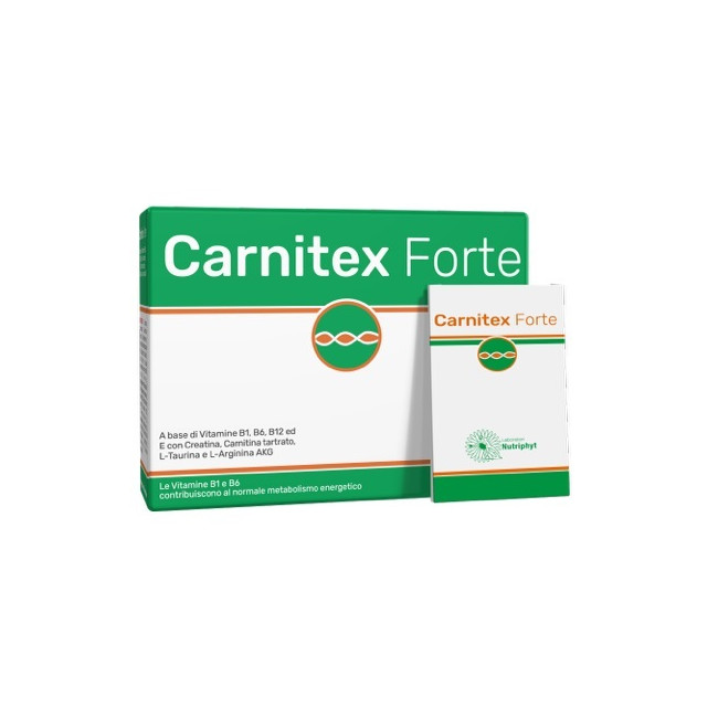CARNITEX FORTE 14 BUSTINE CARNITEX FORTE 14 BUSTINE