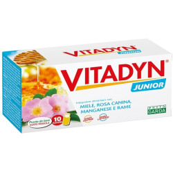 VITADYN JUNIOR 10 FLACONCINI DA 10 ML