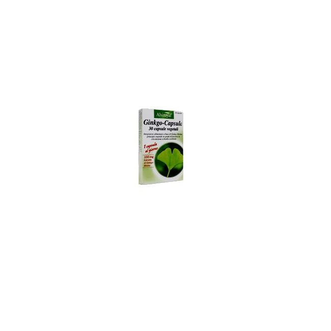 GINKGO CAPSULE 30 CAPSULE GINKGO CAPSULE 30 CAPSULE