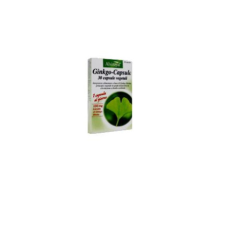 GINKGO CAPSULE 30 CAPSULE