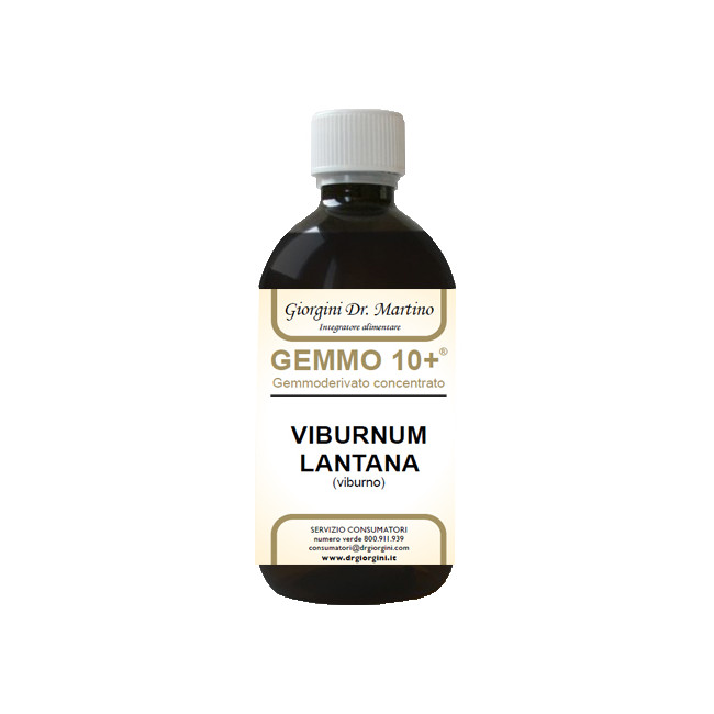 VIBURNO LIQUIDO ANALCOLICO GEMMO 10+ 500 ML VIBURNO LIQUIDO ANALCOLICO GEMMO 10+ 500 ML