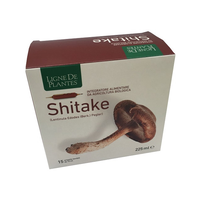 LIGNE DE PLANTES SHITAKE BIO 15 AMPOLLE DA 15 ML LIGNE DE PLANTES SHITAKE BIO 15 AMPOLLE DA 15 ML