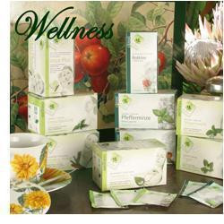 NEUNERS TISANA STOMACO BIO 20 BUSTINE