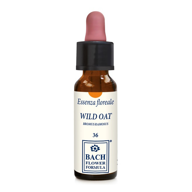 WILD OAT ORIGINAL 10 ML GOCCE WILD OAT ORIGINAL 10 ML GOCCE