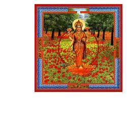 NEESHA-MA GOCCE 30 ML