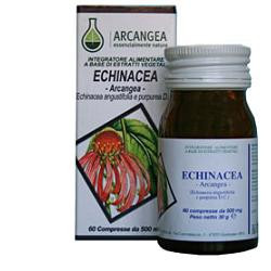 ECHINACEA 60 CAPSULE 500 MG
