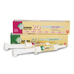 DUELMINT 20*ROSA SIR 15ML