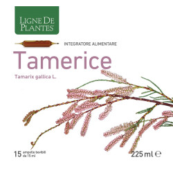 TAMERICE 15 AMPOLLE 15 ML