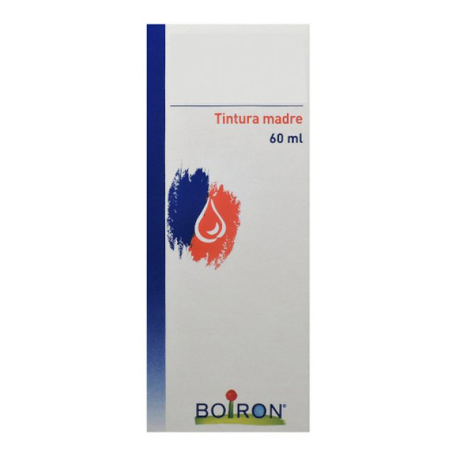 Hypericum Perfor 60ml Tm Hypericum Perfor 60ml Tm