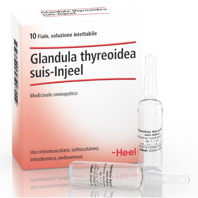 HEEL GLANDULA THYROIDEA SUIS INJEEL 10 FIALE HEEL GLANDULA THYROIDEA SUIS INJEEL 10 FIALE