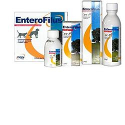 Drn Enterofilus 12 Fiale Da 100ml
