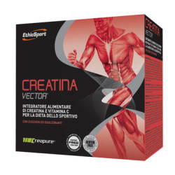 CREATINA VECTOR 20 BUSTINE 8 G