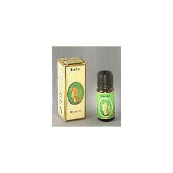 CEDRO FRUTTI OLIO ESSENZIALE 10 ML