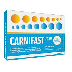 Carnidyn fast 20 Bustine