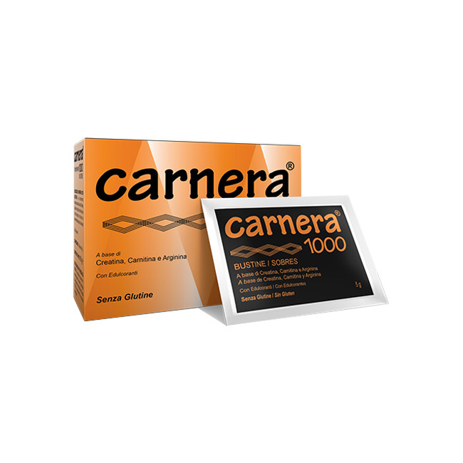 CARNERA 1000 18 BUSTINE CARNERA 1000 18 BUSTINE