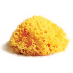 Spugna Naturale Mediterranea Laboratori Atenei 12