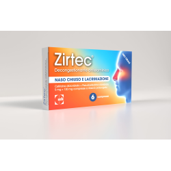 Zirtec Decong Ant 6 Compresse 5+120mg