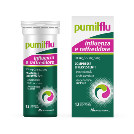 Pumilflu Influenza E R 12 Compresse Pumilflu Influenza E R 12 Compresse