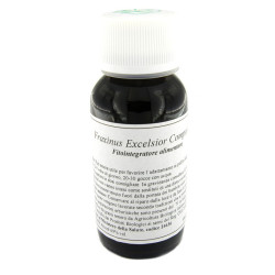 LVS 22N FRAXINUS EXCELSIOR COMPOSITUM