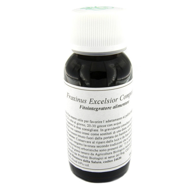 LVS 22N FRAXINUS EXCELSIOR COMPOSITUM