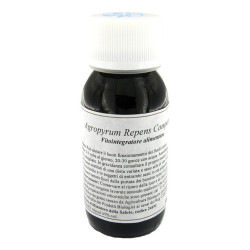 LVS 93C AGROPYRUM REPENS COMPOSITUM