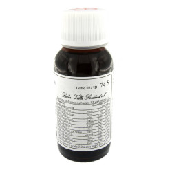 LVS 74S ERYNGIUM CAMPESTRE COMPOSITUM