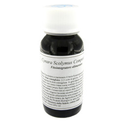 LVS 87C CYNARA SCOLY CAULI COMPOSITUM