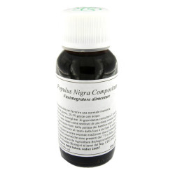 LVS 43N POPULUS NIGRA COMPOSITUM