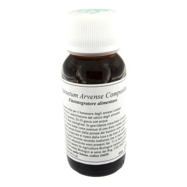 LVS 41N EQUISETUM ARVENSE COMPOSITUM