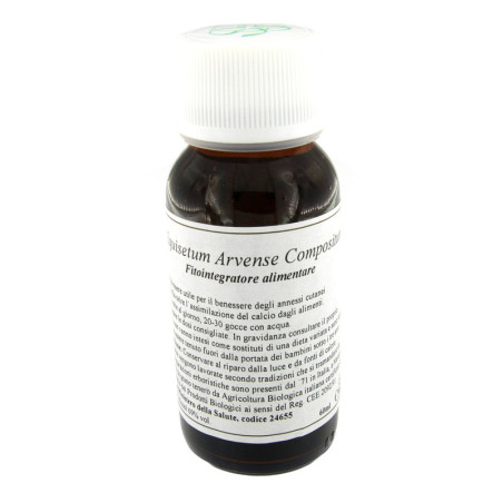 LVS 41N EQUISETUM ARVENSE COMPOSITUM