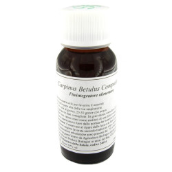 LVS 20N CARPINUS BETULUS COMPOSITUM