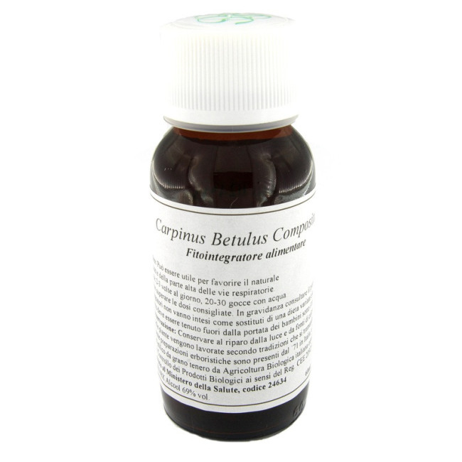 LVS 20N CARPINUS BETULUS COMPOSITUM